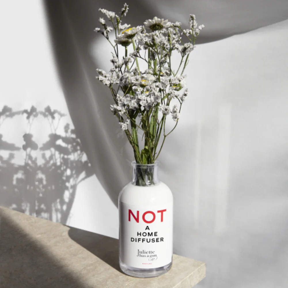 Not a Home Diffuser 3 Not a Home Diffuser